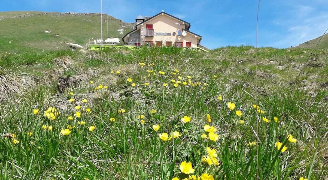 Апартаменты Residenza Letizia Nemeggio Экстерьер фото